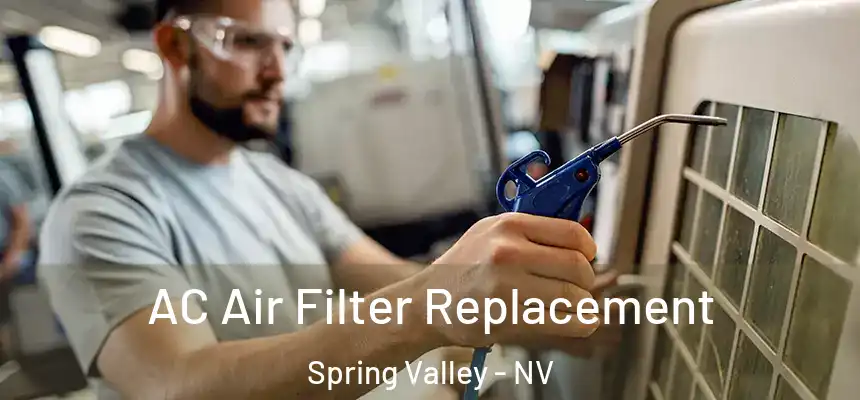  AC Air Filter Replacement Spring Valley - NV
