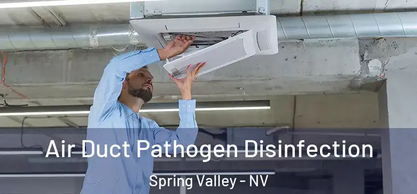 Air Duct Pathogen Disinfection Spring Valley - NV