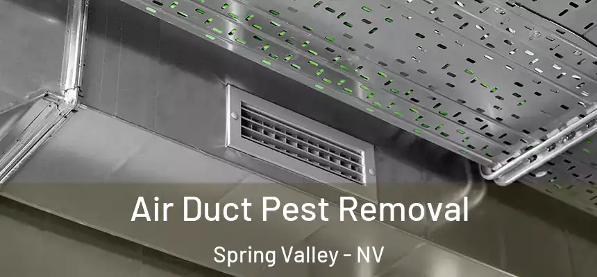 Air Duct Pest Removal Spring Valley - NV