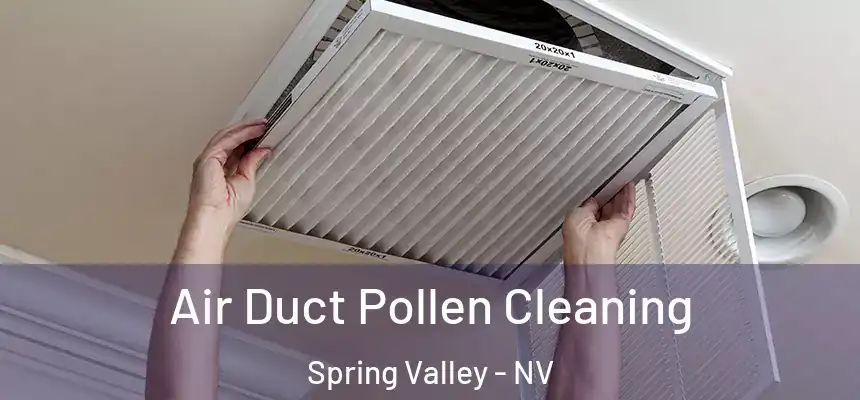Air Duct Pollen Cleaning Spring Valley - NV