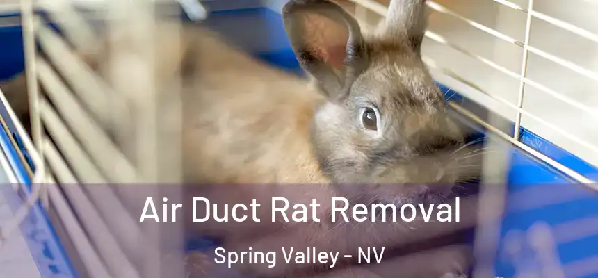 Air Duct Rat Removal Spring Valley - NV