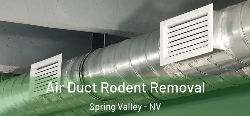 Air Duct Rodent Removal Spring Valley - NV