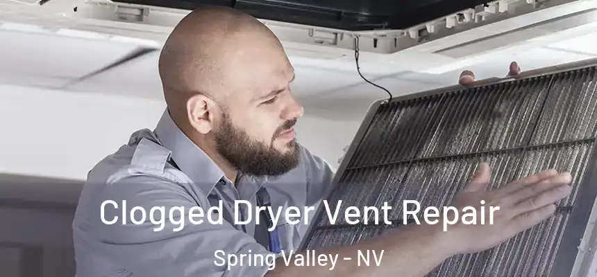 Clogged Dryer Vent Repair Spring Valley - NV