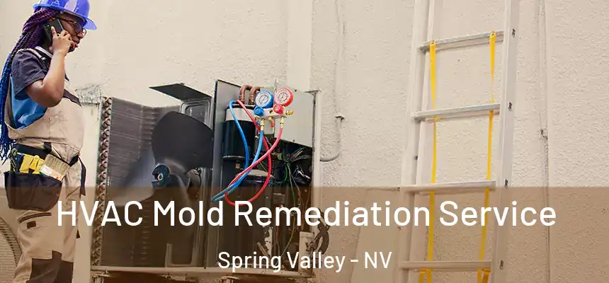 HVAC Mold Remediation Service Spring Valley - NV