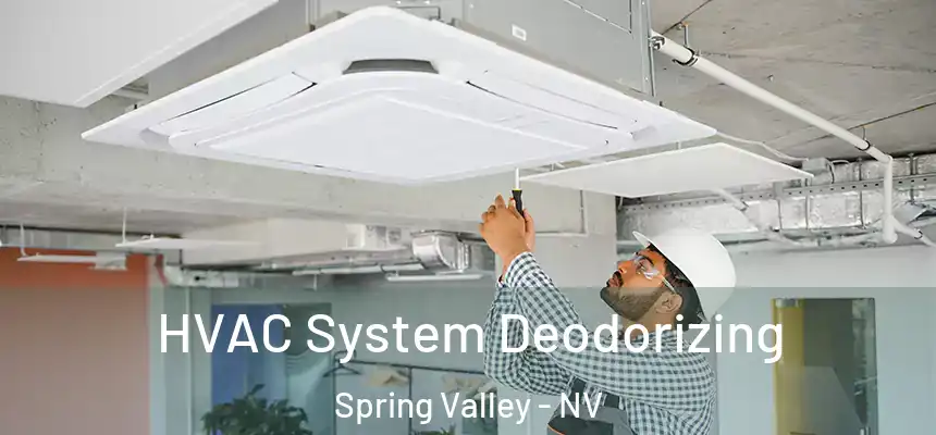 HVAC System Deodorizing Spring Valley - NV