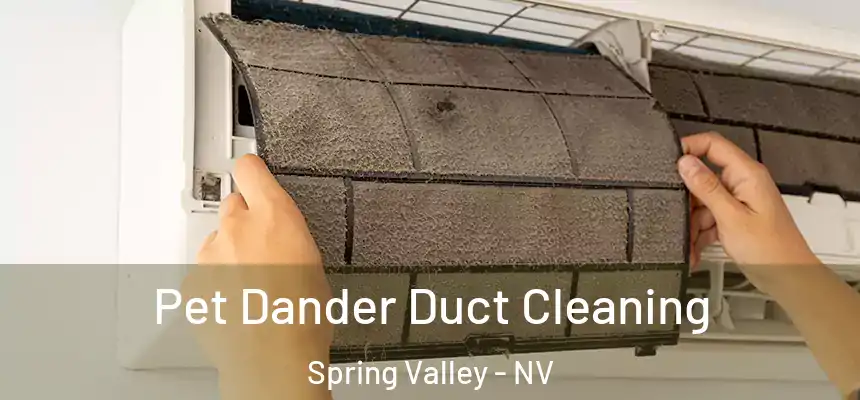 Pet Dander Duct Cleaning Spring Valley - NV
