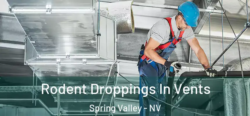 Rodent Droppings In Vents Spring Valley - NV