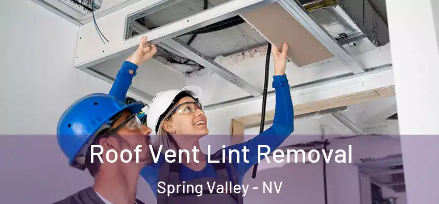 Roof Vent Lint Removal Spring Valley - NV