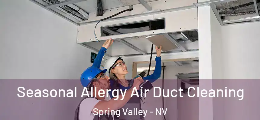 Seasonal Allergy Air Duct Cleaning Spring Valley - NV