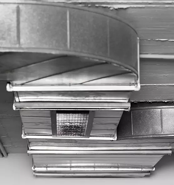 Professional Air Duct Pet Hair Removal in Spring Valley, NV