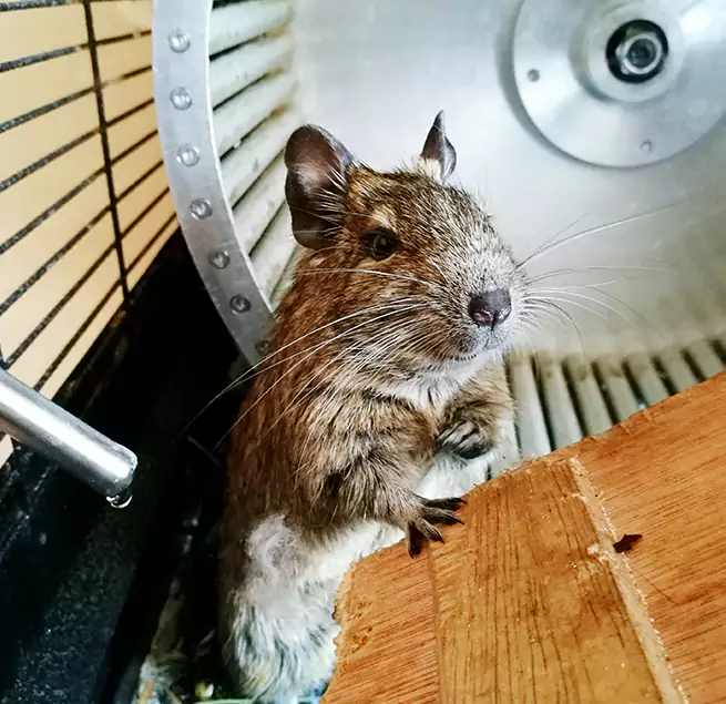 Why Homeowners & Businesses Trust Us Spring Valley, NV